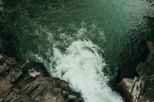 Quels sont les attraits du zoo du Sud de la France pour les visiteurs ?